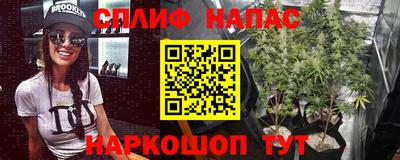 кокс Гай