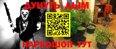 спиды Бийск